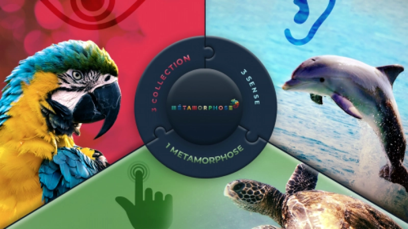 Metamorphose 5.0, 6.0 i 7.0 - wodoodporne panele winylowe SP