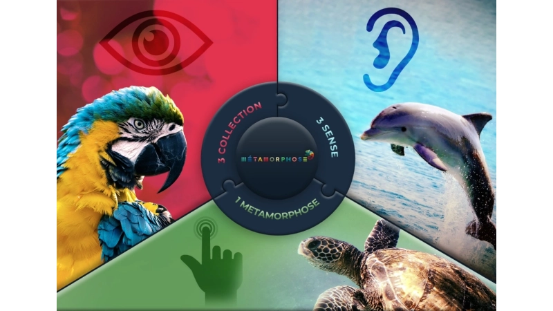 Metamorfoza Twojego domu: Przewodnik po świecie podłóg wi