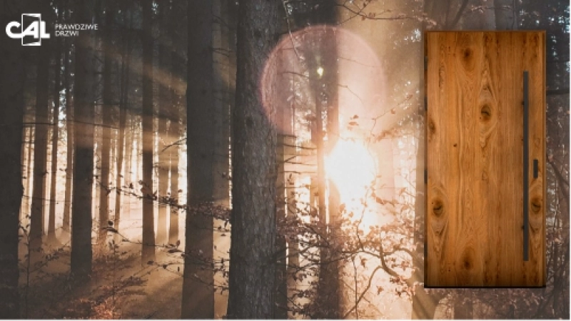 Drzwi CAL z prawdziwego drewna