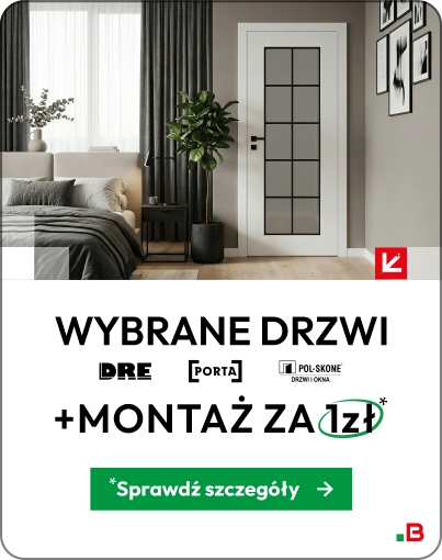 Wybrane drzwi z montażem za 1zł
