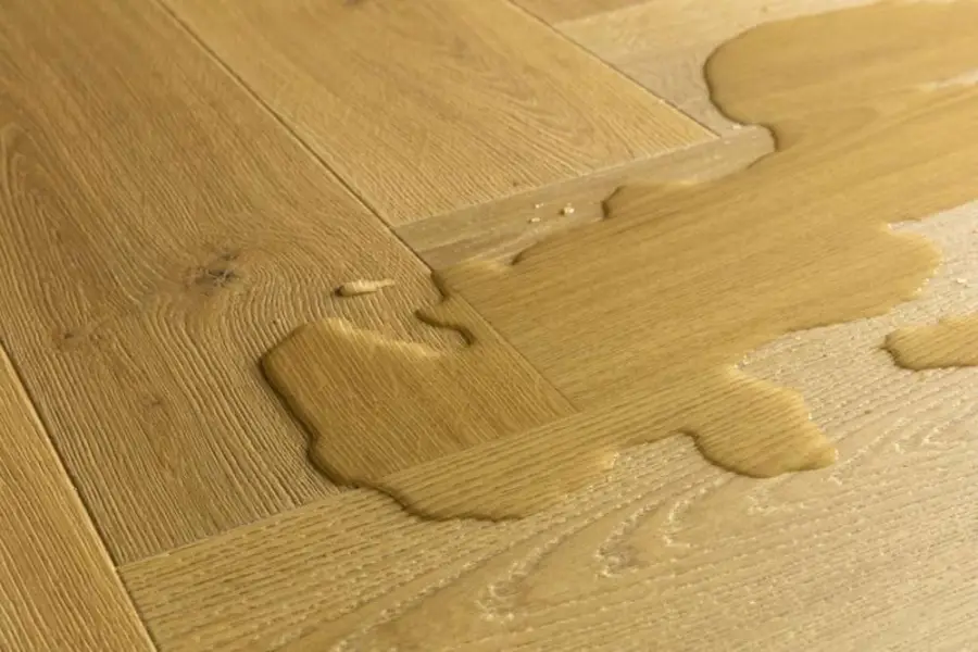 woda rozlana na panelach Dąb kuminowy