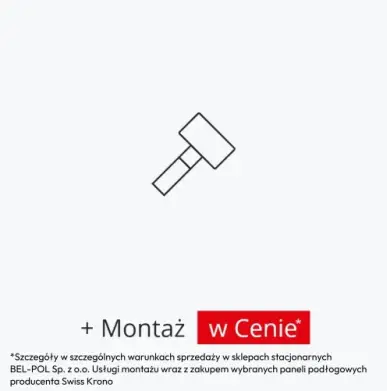 montaż-w-cenie