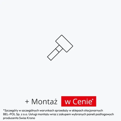 montaż-w-cenie