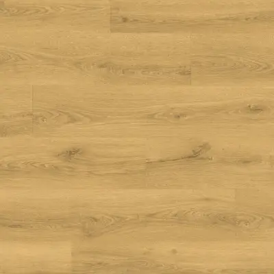 Panele podłogowe Dąb Klasyczny jasny CLM5787 AC4 8 mm