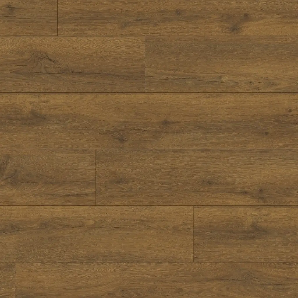 楓 Panele podłogowe Dąb brązowy kakao CLM5793 AC4 8 mm- Bel-pol