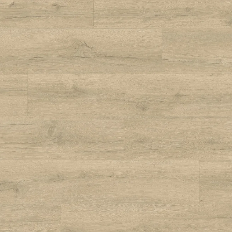 Panele podłogowe Dąb beżowy piaskowy CLM5791 AC4 8 mm - 5