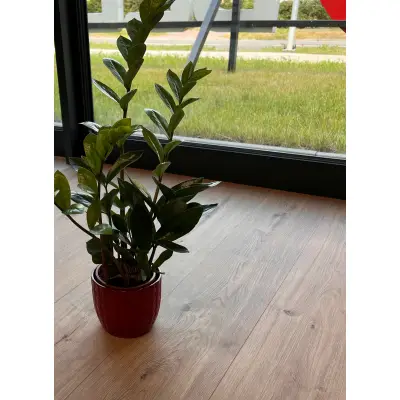 Panele winylowe ze zintegrowanym podkładem Pula 62728 Klasa 33 5.5 mm