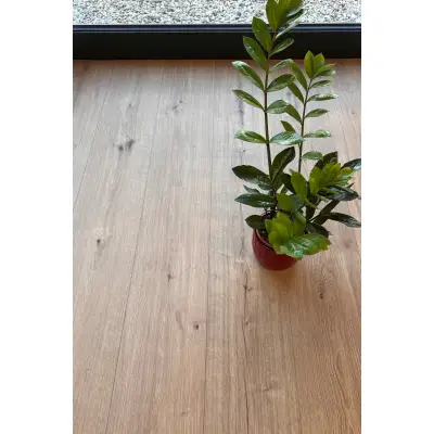 Panele winylowe ze zintegrowanym podkładem Pula 62728 Klasa 33 5.5 mm