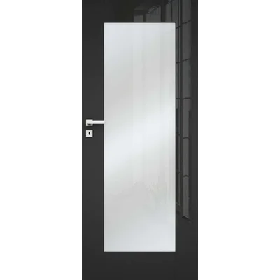 Drzwi ILIS 5