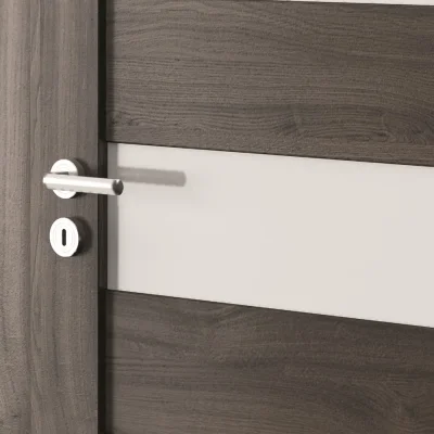 Drzwi Porta VERTE HOME model C