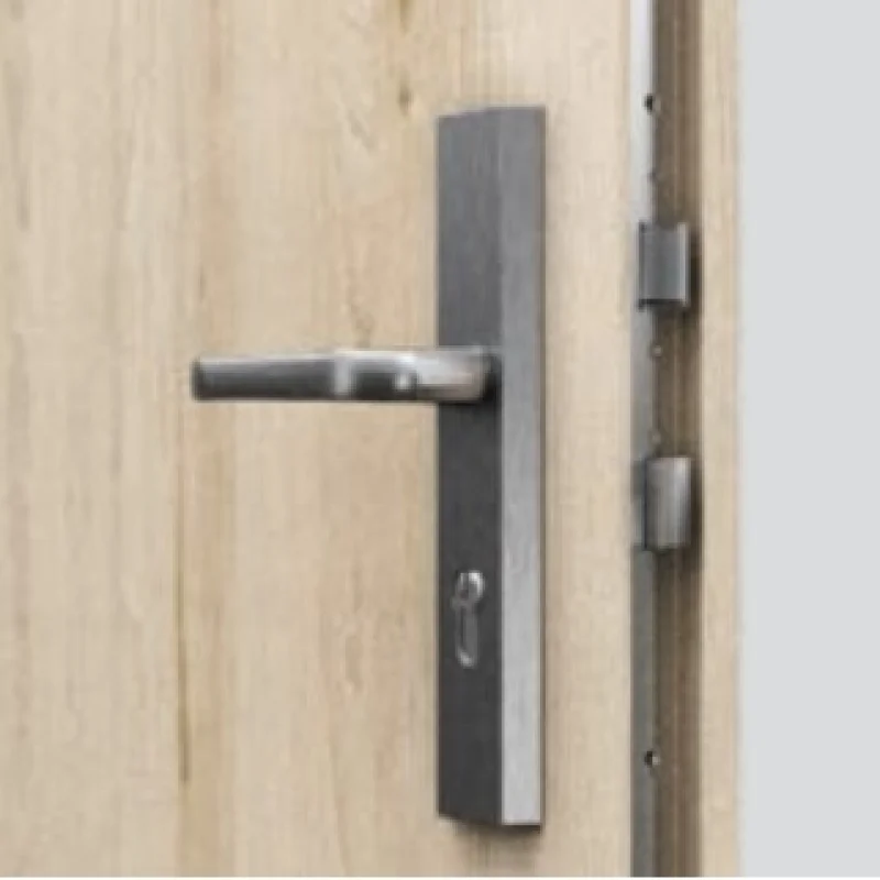 Drzwi Wejściowe Opal Lewe 80 Antracyt, SPEO0P0L082NCJSL30O0