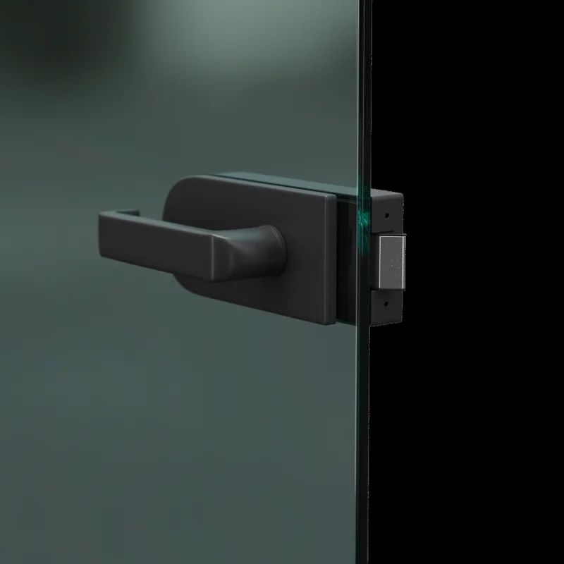 Drzwi Porta GLASS szyba przezroczysta z malowanymi szprosami