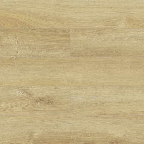 Panele Podłogowe Dąb Honey Naturalny 8 mm AC5, AUDO40144