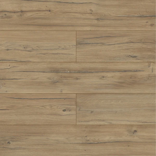 Panele podłogowe Dąb Condor Ciemny 8 mm AC5, AUVO40254