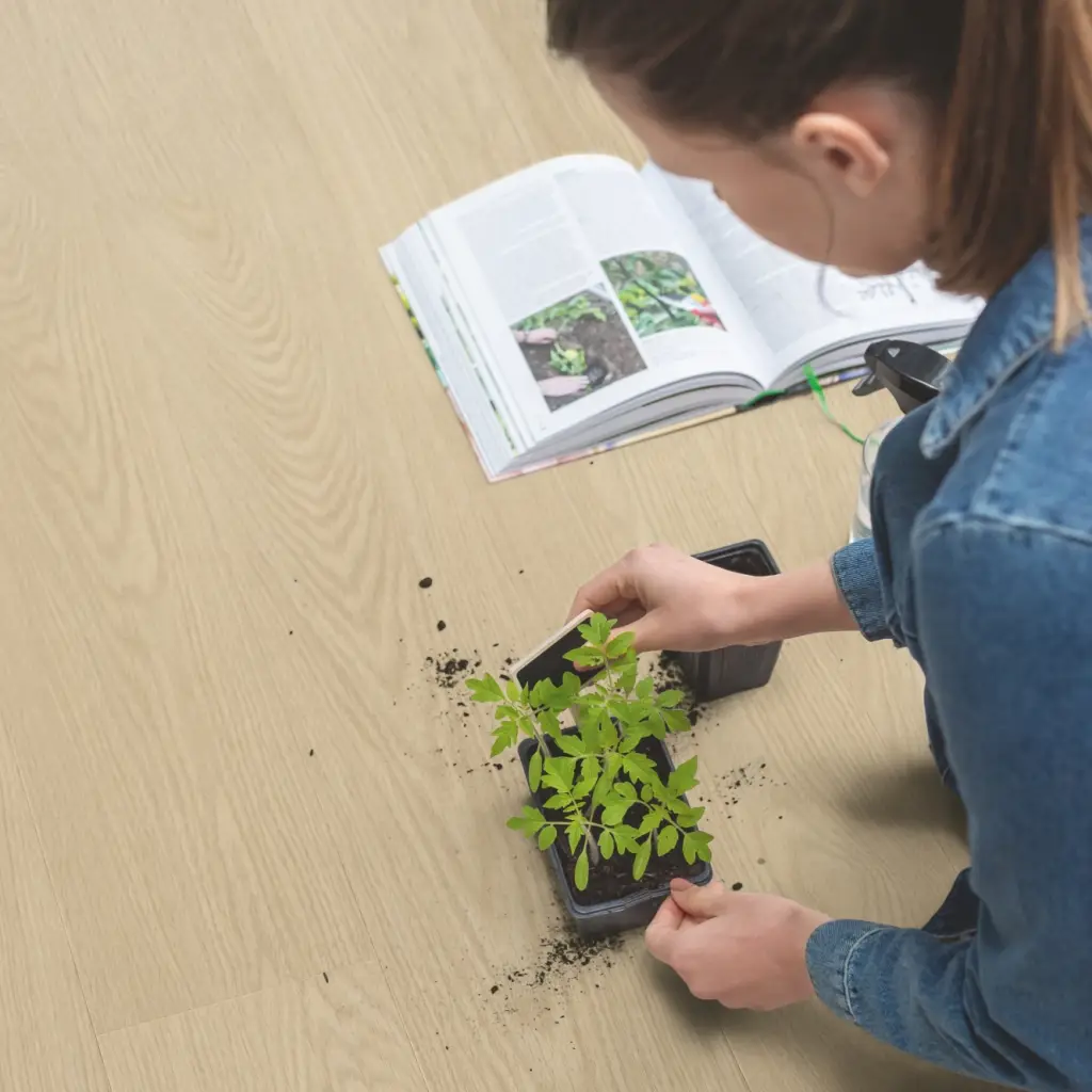 Panele Winylowe SPC LVT Dąb mleczny AVSPT40277 Klasa 33 4 mm, Panele winylowe, Blos Base, Quick-Step Unilin