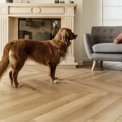 Panele winylowe Jodełka LVT Firenze dryback HB Mistrall Klasa 33 2.5 mm, FIR HB-2631-DB