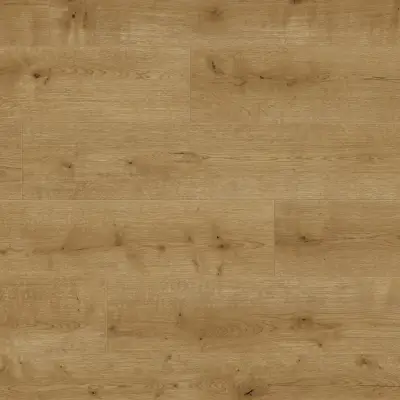 Panele podłogowe Erba 6011 AC5 8 mm, 6011ERBA