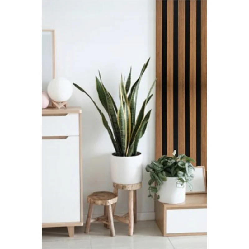 Lamele Akustyczne Listwa Dąb Naturalny L 248A Teak Lewa, 12