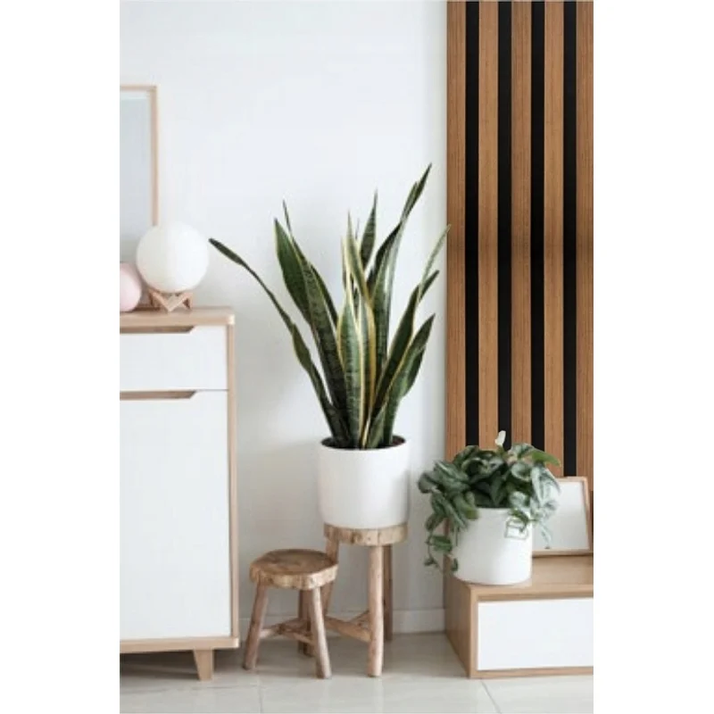 Lamele Akustyczne Listwa Dąb naturalny L 248B Teak Prawa ,