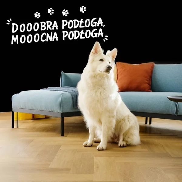 Panele winylowe SPC LVT Jodełka Dąb Menor CAS 223 5 mm TAK