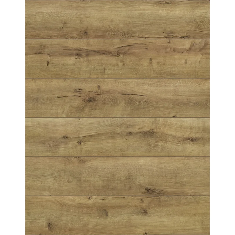 Panele podłogowe Eiche natur hell AC4 8 mm, 55822 - 5