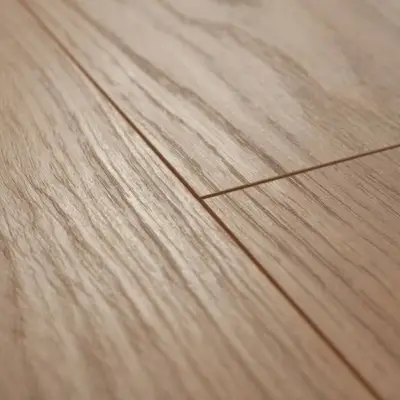 Panele Podłogowe Dąb Dodola D4581 AC5 8 mm, 91BQ4581-II