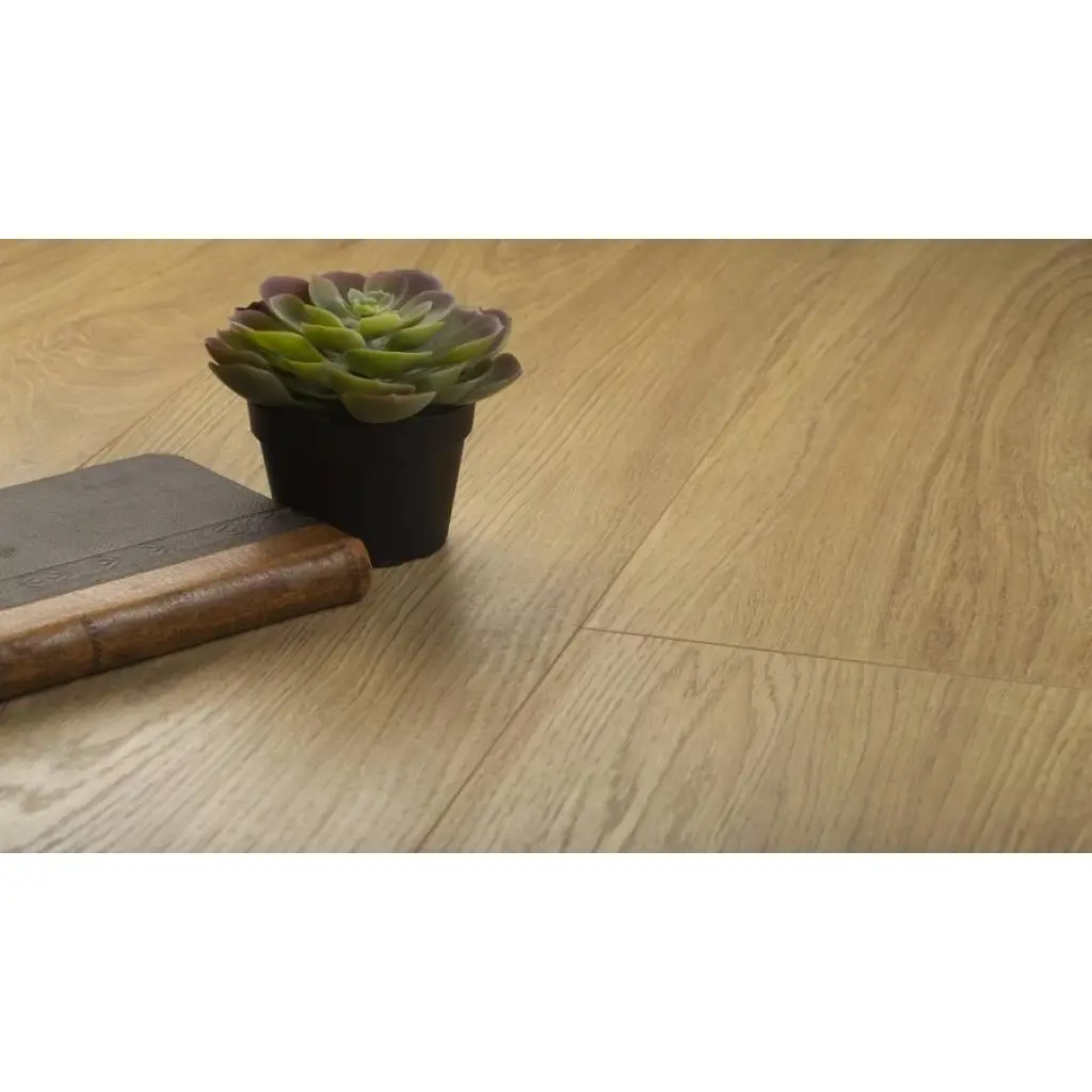 Panele Podłogowe Dąb Dodola D4581 AC5 8 mm, 91BQ4581-II, Panele podłogowe, Modern Aqua ZERO 3D 72h, Modern