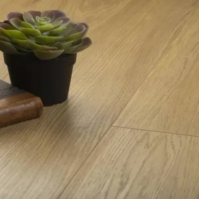 Panele Podłogowe Dąb Dodola D4581 AC5 8 mm, 91BQ4581-II