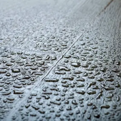 Panele Podłogowe Dąb Dodola D4581 AC5 8 mm, 91BQ4581-II