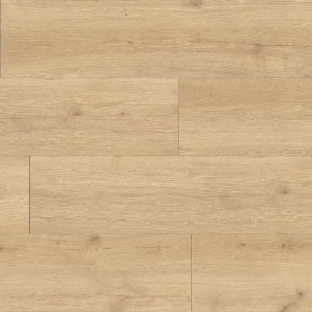 Panele podłogowe Hayden XL AC5 8 mm, 56192Large, Panele podłogowe, Skyline, Classen