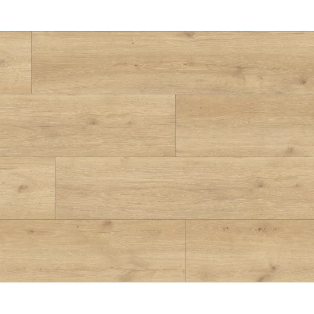 Panele podłogowe Hayden XL AC5 8 mm, 56192Large, Panele podłogowe, Skyline, Classen