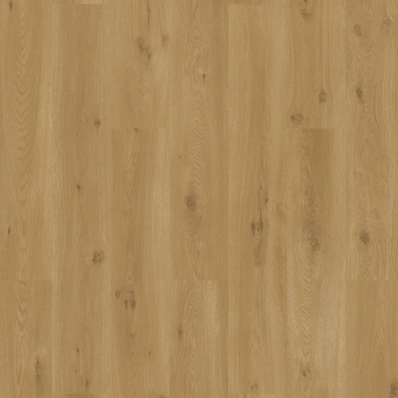 Ocean bliss warm honey Klasa 33 2.5 mm TAK, SGSPC20314