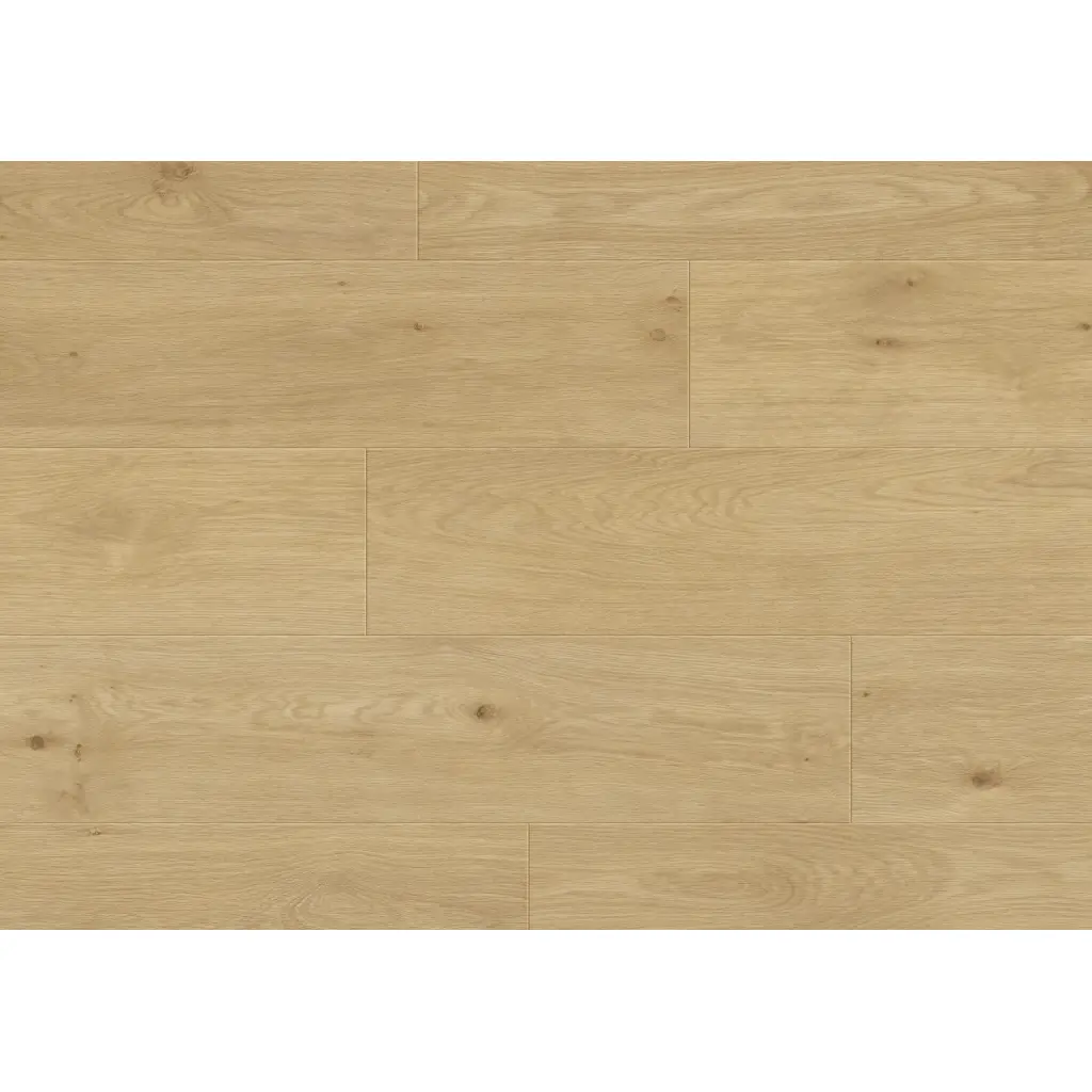 Panele podłogowe Oise 996736 AC4 8 mm, Panele podłogowe, By Belgium Water Protect AC4 PLUS, Metamorphose