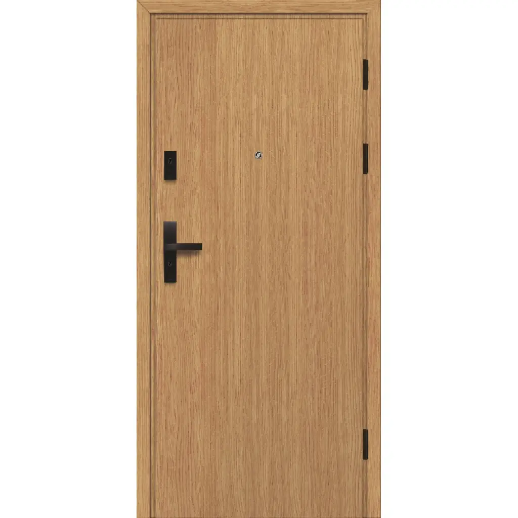 Drzwi Wejściowe Falco W00, Drzwi wewnętrzne, STUDIO FALCO, POL-SKONE