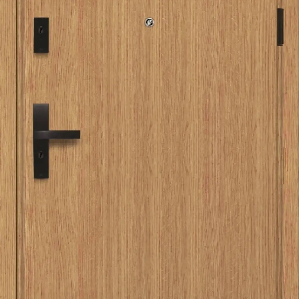 Drzwi Wejściowe Falco W00, Drzwi wewnętrzne, STUDIO FALCO, POL-SKONE