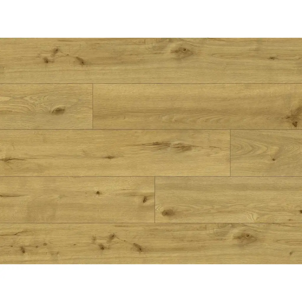 Panele winylowe ze zintegrowanym podkładem Tasmanian 65141 Klasa 34 5 mm, Panele winylowe, Ceramin Flooring, Classen