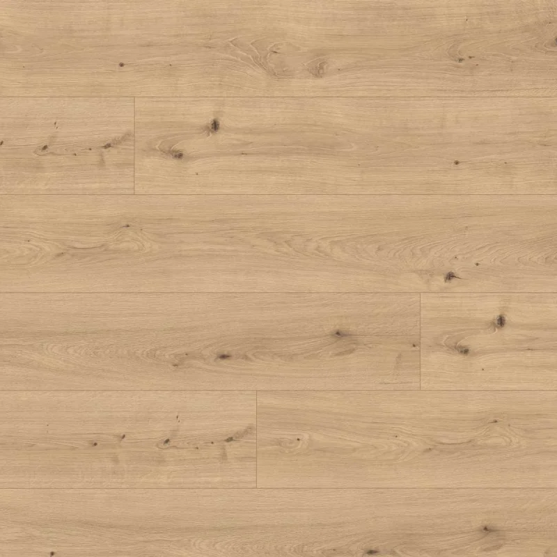 Panele podłogowe Dąb Cadiz naturalny EL2136  AC5 10 mm, 17