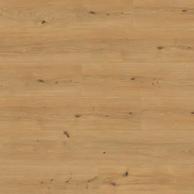 Panele podłogowe Dąb Cadiz miodowy EL2137 AC5 10 mm, 1790659