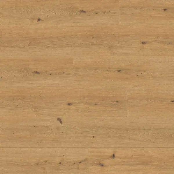 Panele podłogowe Dąb Cadiz miodowy EL2137 AC5 10 mm, 17906