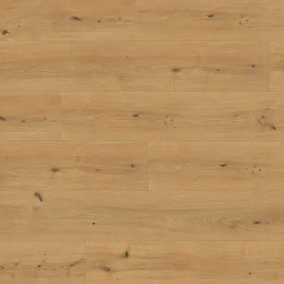 Panele podłogowe Dąb Cadiz miodowy EL2137 AC5 10 mm, 1790659