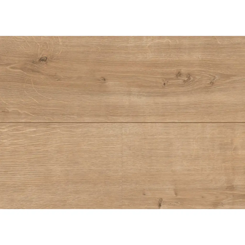 Panele podłogowe Dąb Ortega EL2093 AC4 8 mm, 1787940