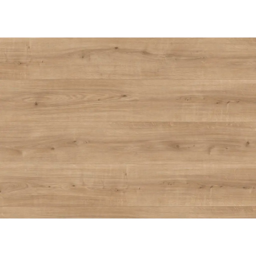 Panele podłogowe Dąb Ortega EL2093 AC4 8 mm, 1787940