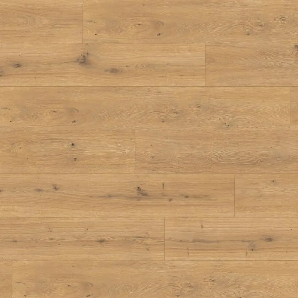 Panele podłogowe Dąb Predaia miodowy EL2009 AC4 8 mm, 1783831, Panele podłogowe, First Choice 8/32 Classic 24h, Egger