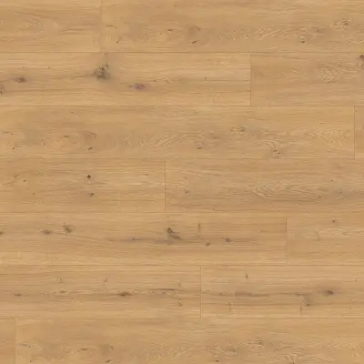 Panele podłogowe Dąb Predaia miodowy EL2009 AC4 8 mm, 1783831