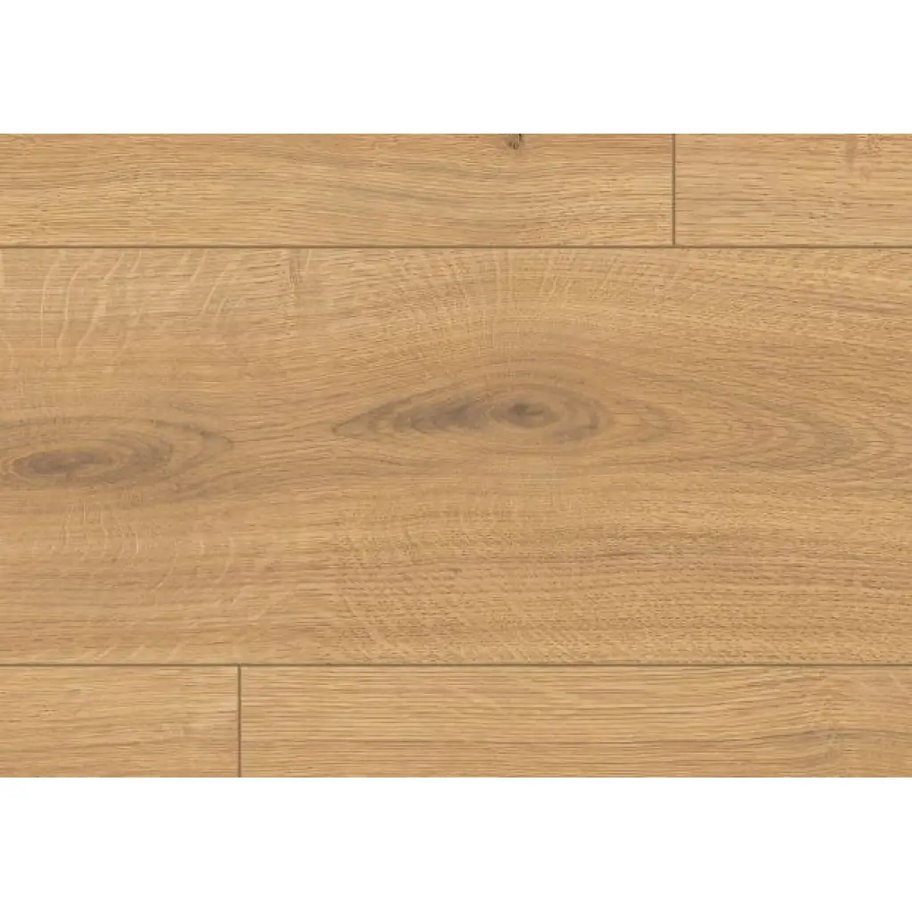 Panele podłogowe Dąb Predaia miodowy EL2009 AC4 8 mm, 1783831, Panele podłogowe, First Choice 8/32 Classic 24h, Egger