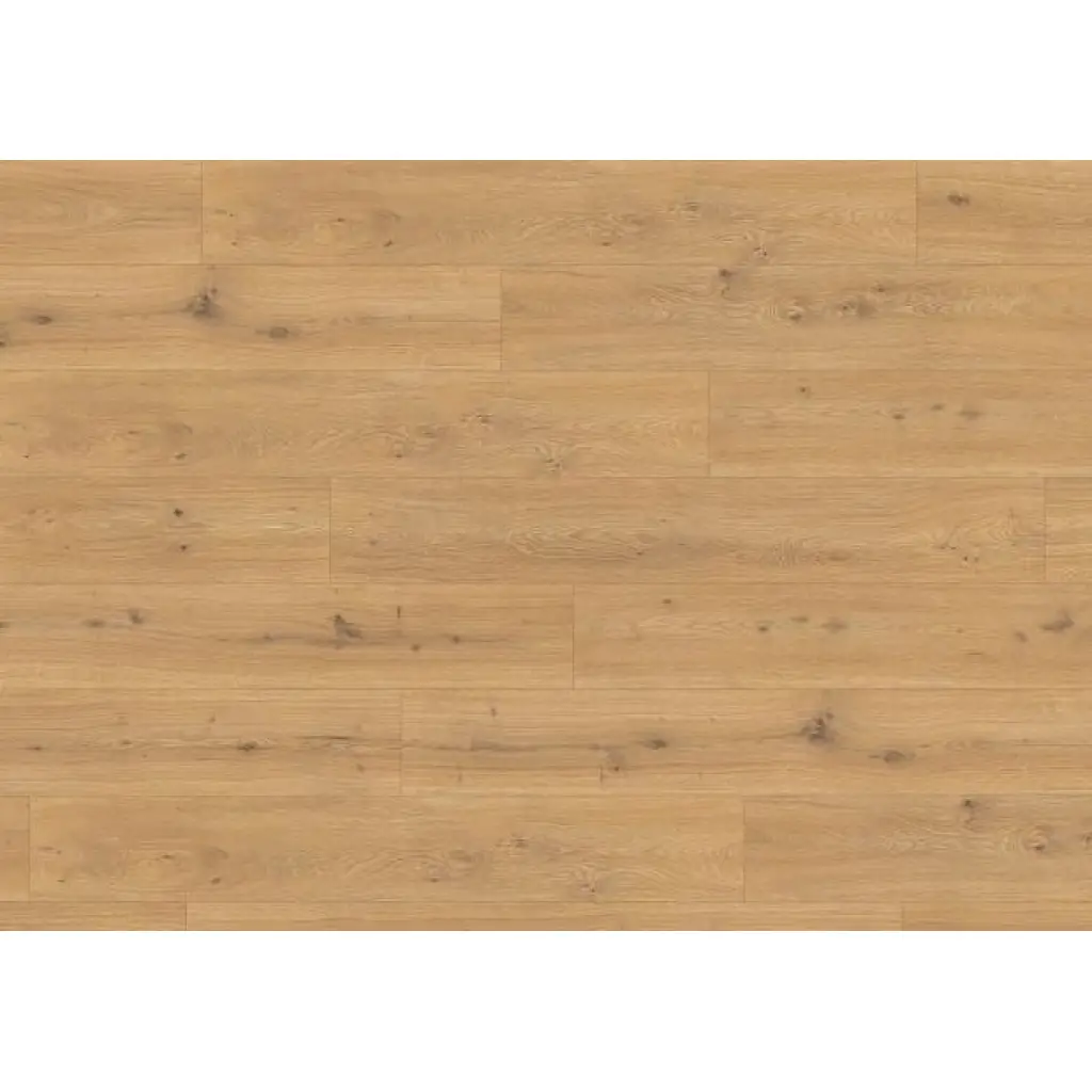 Panele podłogowe Dąb Predaia miodowy EL2009 AC4 8 mm, 1783831, Panele podłogowe, First Choice 8/32 Classic 24h, Egger