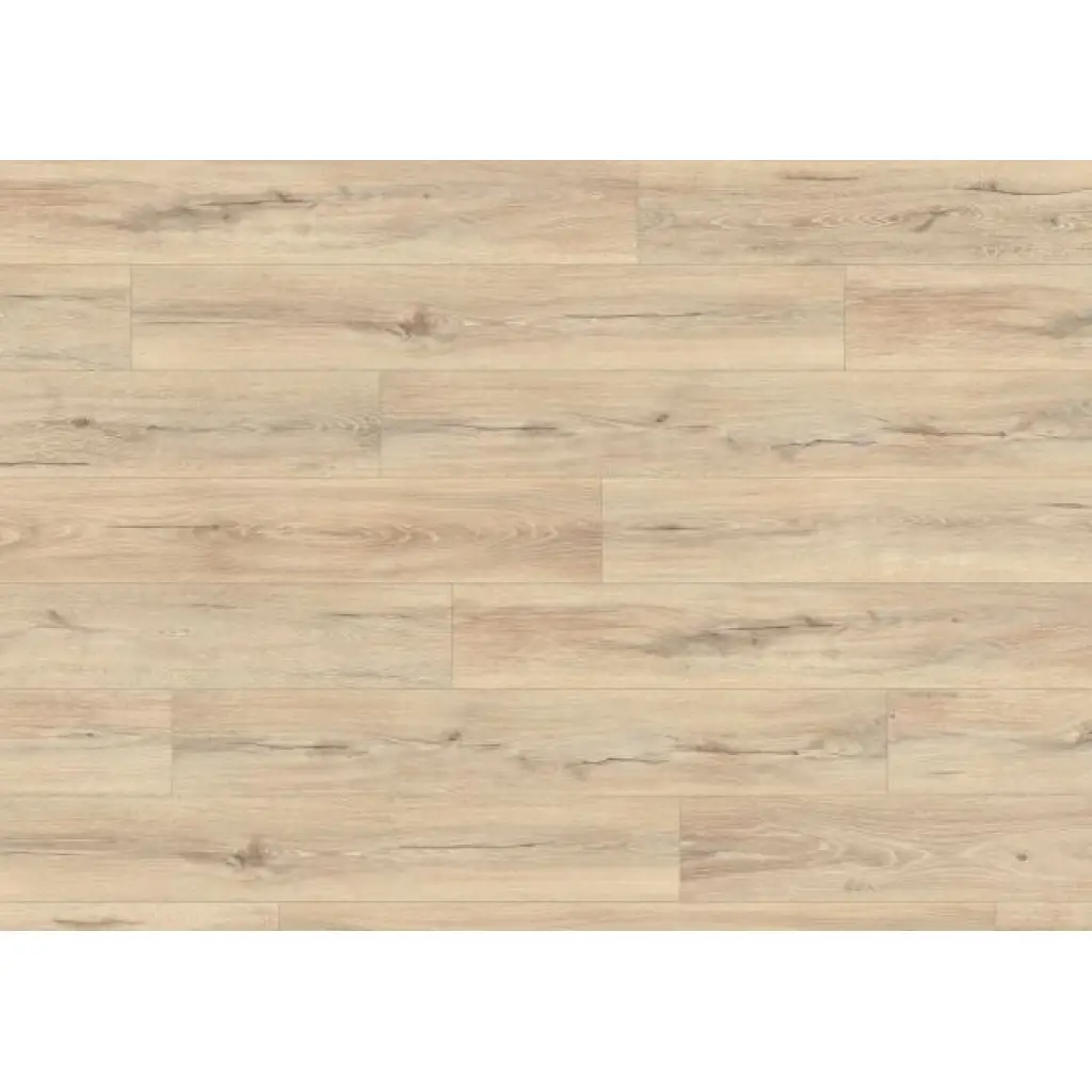 Panele podłogowe Dąb Melba beżowy EL2416 AC4 8 mm, 1784245, Panele podłogowe, First Choice 8/32 Classic 24h, Egger