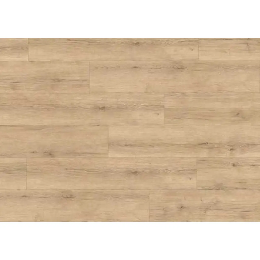 Panele podłogowe Dąb Carlin piaskowy 8mm EL2141 AC4 8 mm, 1787904, Panele podłogowe, First Choice 8/32 Large, Egger