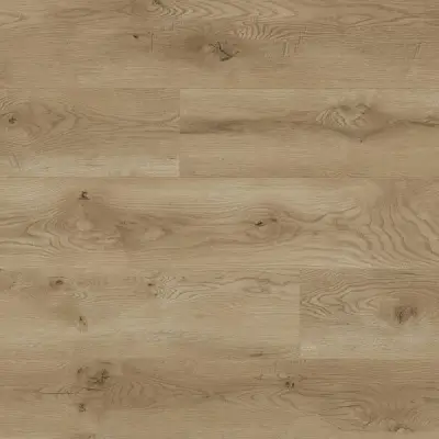 Panele podłogowe Dąb Lahti 66708 AC5 8 mm