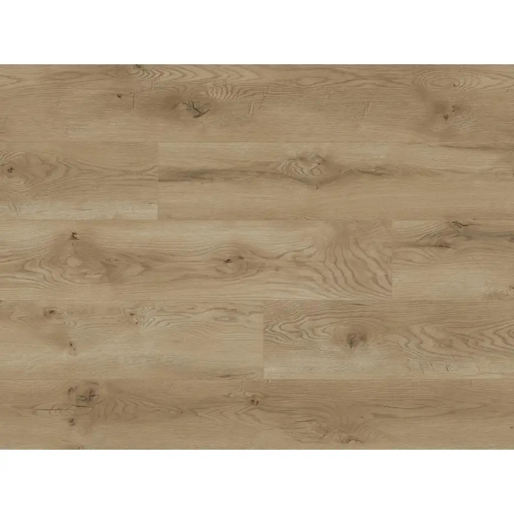 Panele podłogowe Dąb Lahti 66708 AC5 8 mm, Panele podłogowe, Euphoria, Classen